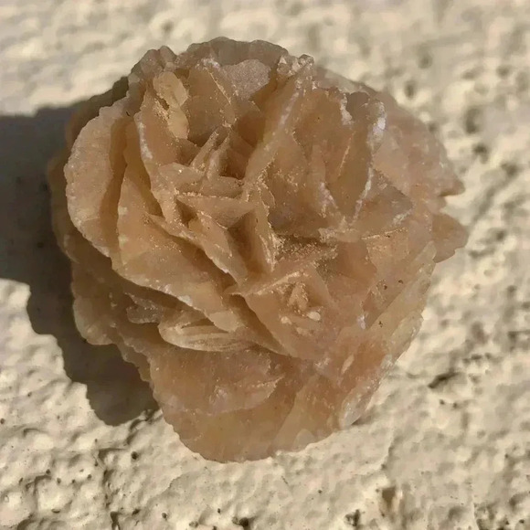 Gypsum Crystal Desert Rose - Picture 4 of 6